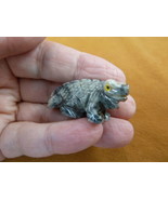 Y-LIZ-IG-23) gray baby IGUANA LIZARD carving SOAPSTONE Peru gem FIGURINE... - £6.75 GBP