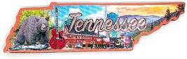 Tennessee State Outline Foil Fridge Magnet - $7.99