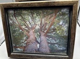 Artwork Twin Trees Signifying Loss Bird Sturbridge MA Bronze Wood Frame Glass - £18.64 GBP