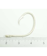 Addya Fisherman Hi-Carbon Steel Circle Hooks 14/0 Pack of 50 Big Game Fi... - €35,81 EUR