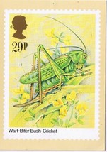 United Kingdom Postcard Stamps Insects 1985 29p Wart Biter Bush Cricket - $2.96