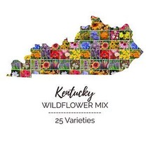 From Usa Wildflower Kentucky State Mix Perennial &amp; Annual 25 Types Usa Non-GMO 1 - £3.18 GBP