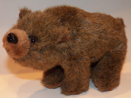 Soundprints Brown Bear Plush 9&quot; Stuffed Animal Toy 2000 - £13.42 GBP