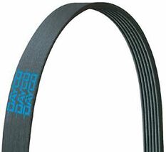 Dayco 5040506 Serpentine Belt - $19.26
