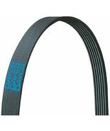 Dayco 5040506 Serpentine Belt - $19.26