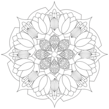 Item image 7