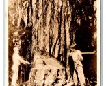 RPPC Lumberjacks Felling Fir Timber Tomas Photo 5014 1937 Postcard R20 - $17.03
