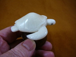 (TNE-T-SEA-393-f) white Sea Turtle TAGUA NUT Figurine carving Vegetable turtles - £22.85 GBP