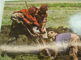 Vintage Cuzco Peru Peasants Tilling the Soil Postcard 33894 - £12.10 GBP