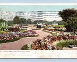 Flower Garden Como Park St Paul Minnesota MN Detroit Publishing UDB Post... - £3.06 GBP