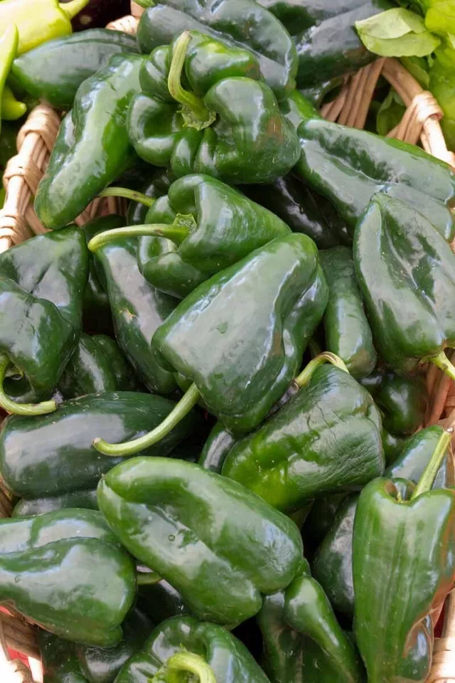 RAFH 25 Classic Ancho Poblano Premium Pepper Seeds USA Seller - $8.85