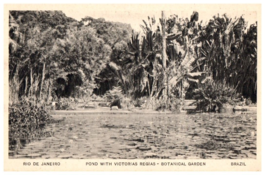 Pond With Victorias Regias Rio De Janeiro Brazil Black And White Postcard - £7.08 GBP