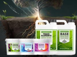 Amsterdamned - Dutch Nutrient Technology Fertilizer Bundle - Large - £679.45 GBP