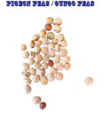 Ripkitty Pigeon Pea Cajanus Cajan Seeds Organic Vegetable Garden Grow FR... - $185.39 MXN+