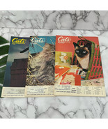 Vintage Cats Magazine Lot of 3 1977 Ads Props Kittens Animal Collectible - $28.70