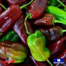 40 Pepper Seeds Sweet Sweet Chocolate Heirloom Vegetable Garden USA SELLER - $9.98