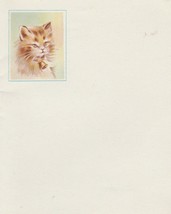 Vintage Greeting Card Stationery Cat in Bell Collar Blank Inside Unused - £5.50 GBP