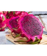 Buah Naga/Pitaya - Hylocereus polyrhizus (Dried), 80 Gram - €28,28 EUR