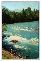 Elwha River Olympic National Park Washington WA UNP Chrome Postcard V23 - £3.07 GBP