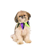 Rubies Pet Shop Dog or Cat Halloween Jester Collar Costume Multicolor Si... - $14.84