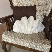 Large Ocean Giant Decorative Clam Shell 18 3/4”X 10.5” - €144,19 EUR