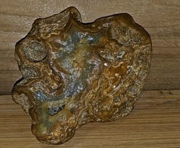 Agatized Bone Fossil Bone Light Color Rare Crystalized  Druzy 152g E1DB - £26.06 GBP