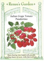 GIB Tomato Italian Grape Padorino Heirloom Vegetable Seeds Renee&#39;s Garden  - £7.19 GBP