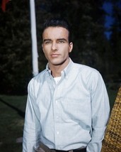 MONTGOMERY CLIFT PREMIUM PRINTS AND POSTERS 294860 - $32.99