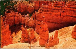 On The Trail, Bryce Canyon National Park Utah vintage Postcard (B8) - £4.63 GBP