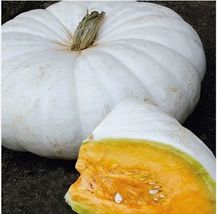 5 White Flat Boer Ford Stacker Pumpkin Seeds - £7.19 GBP