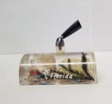Florida Souvenir Pen Holder Seashell Acrylic Desk Decorative Penholder - £7.16 GBP