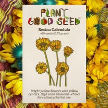 KKG Resina Calendula Seeds Pot Marigold Yellow Organic Officinalis Herba... - $185.64 MXN