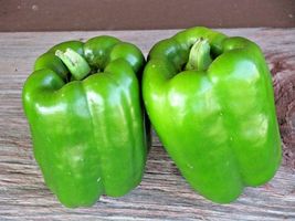 100 California Wonder Sweet Bell Pepper Seeds Garden Vegetable Container - £14.37 GBP