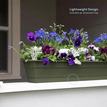 Bloem DCBT30-42 Window Box 5.75&quot; H X 30&quot; W X 7.5&quot; D Plastic Green - $24.74