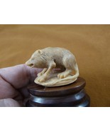 tb-bin-2 Binturong Bearcat Nutria Muskrat Tagua NUT palm figurine wood b... - £40.42 GBP