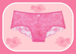 S M L Xl Xxl Spring Pink Floral Lace W Back Detail Victorias Secret Cheeky Panty - £10.02 GBP