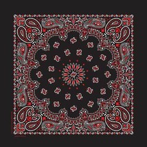 Carolina Creative Bandanna (Black/Red) Paisley Print 22&quot; x 22&quot; Hav-A-Hank - $7.51