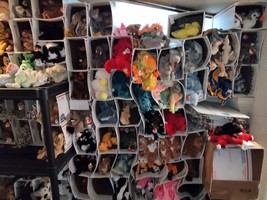 New Ty Beanies! 50 Different Beanie Babies And 10 Different Bear Buddies Mwm Ts - $135.00