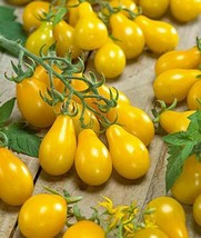 Small Yellow Pear Cherry Tomato Seeds | Heirloom | Non-GMO | Fresh Veg Seeds - £1.35 GBP+