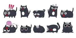 Funny Cat SVG Bundle, Cat SVG, Kitten SVG, Cat lady svg, crazy cat lady svg, cat - £2.42 GBP