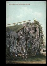A SOUTHERN CALIFORNIA COTTAGE - early printed postcard DB not posted - $4.90