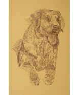 YOUNG GOLDEN RETRIEVER DOG ART PRINT #58 Stephen Kline adds your dogs na... - £38.66 GBP