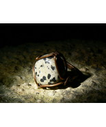 Haunted Were-Leopard Living Entity Unique Antique Ring Leopard Miracle b... - £174.86 GBP