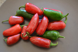 25 Mild Tam Jalapeno Pepper Seeds Fresh Fast Shipping - $3.36