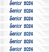 Senior Sash 2024, White Satin Sash Senior 2024 with Blue Glitter Cheer F... - £21.47 GBP