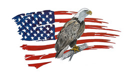 American Flag Tattered Eagle Printed Vinyl Decal Wall Window Car Wildlife SUV HD - £5.46 GBP+