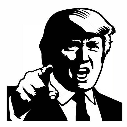 Donald J. Trump sticker VINYL DECAL United States 45th President United States