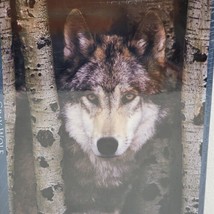 Eurographics Gray Wolf 1000 Piece Puzzle New Sealed Made in USA Gift - $14.15