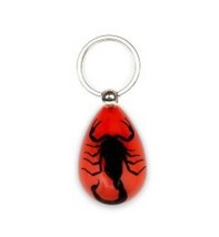 Black SCORPION Real Keychain Ring Genuine INSECT Clear Key Chain Red Tea... - $11.87