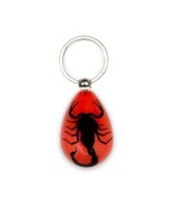 Black SCORPION Real Keychain Ring Genuine INSECT Clear Key Chain Red Tea... - £9.33 GBP